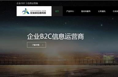 欣易辰信息科技有限公司-深圳网站建设案例