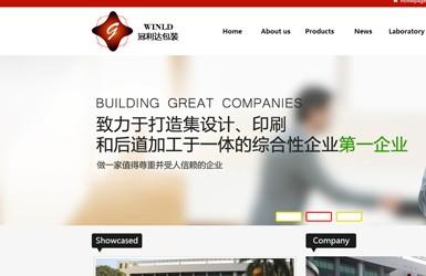冠利达-深圳网站建设案例