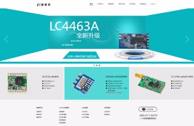 凌承芯-深圳企业网站建设案例